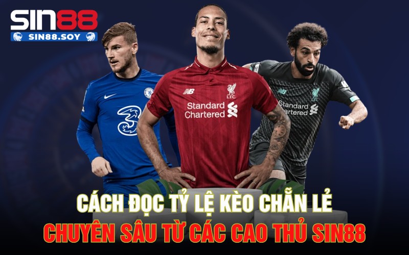 Cách Đọc Tỷ Lệ Kèo Chẵn Lẻ Chuyên Sâu Từ Các Cao Thủ Sin88