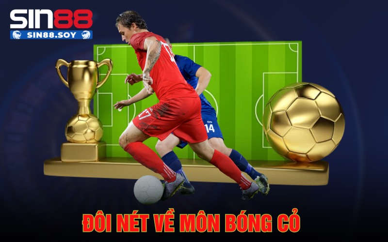 Đôi nét về môn bóng cỏ