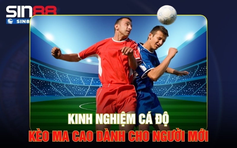 Kinh nghiệm cá độ kèo Ma cao dành cho người mới